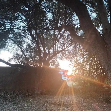 Alloggio per agriturismo Homatino Eco Smart Nea Moudania