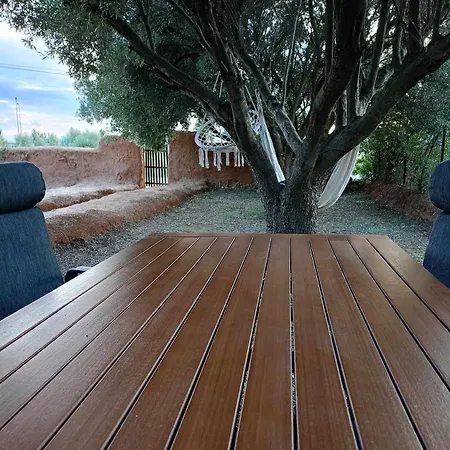 Homatino Eco Smart نيا موذانيا
